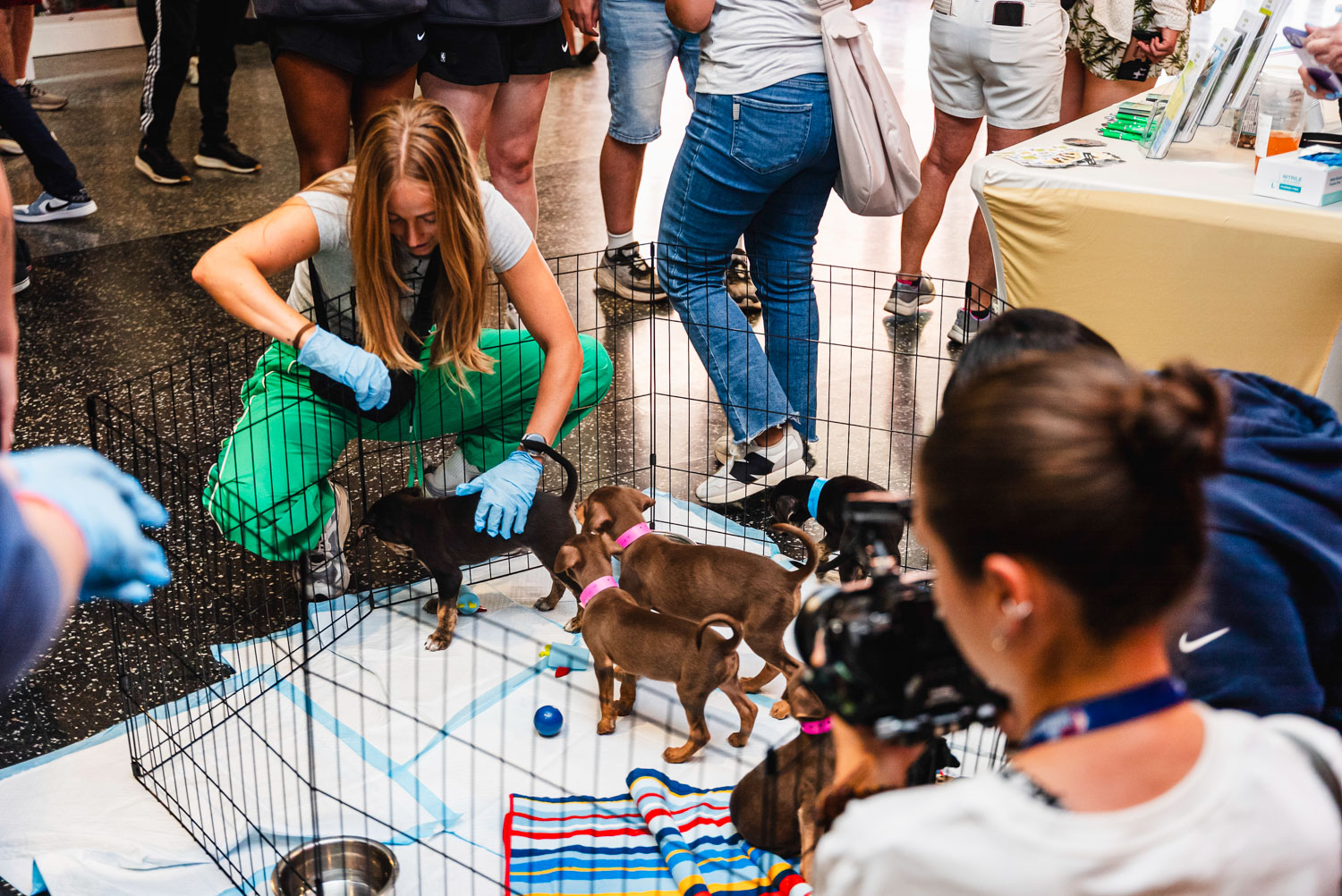 Concourse_SL25_250712_DSC06748_1