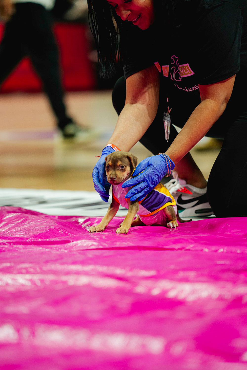 PUPPYHALFTIME_SL25_250711_ECB07797-resize_1