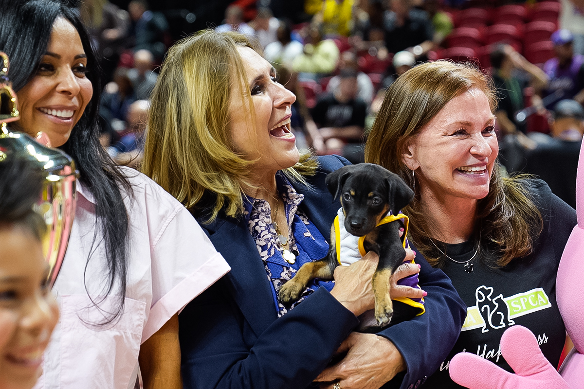 SL25-photo-071125-halftime-pinkbox_puppyrace-2