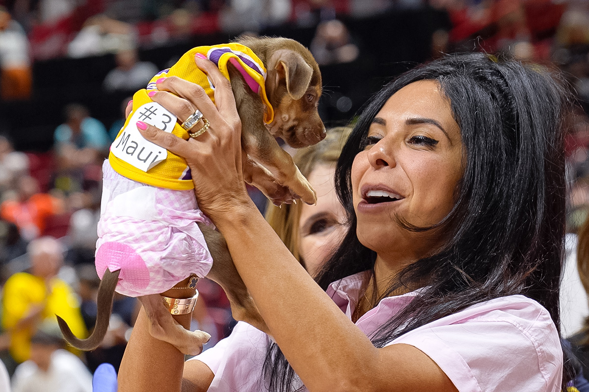 SL25-photo-071125-halftime-pinkbox_puppyrace-3