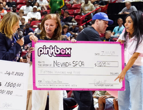 Puppies, Purpose, and Pinkbox: A Heartwarming Halftime at NBA Summer League